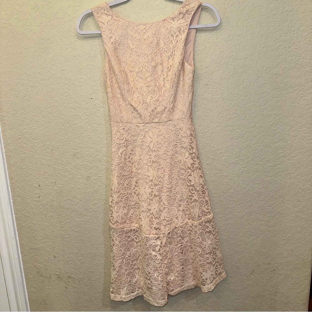 Lulus XS Blush Pink Floral Lace A-Line Skater Mini Preppy Formal Cocktail Dress